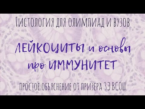 Видео: Клетки крови, лейкоциты и иммунитет | гистология - все ткани человека для олимпиад и вузов!
