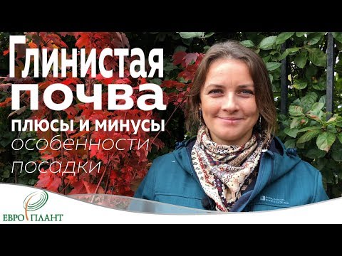 Видео: Глина плюсы и минусы. Особенности посадки.