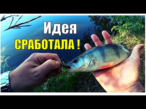 Видео: МОЩНЫЕ поклёвки ОКУНЕЙ на БЮДЖЕТНЫЙ спиннинг CF Optimus 782LT