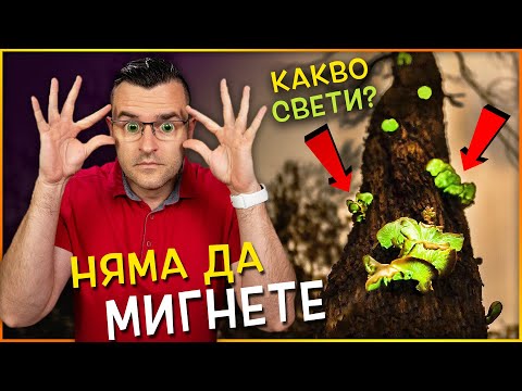 Видео: 10 ОСОБЕНИ НЕЩА, от които НЯМА ДА ОТДЕЛИТЕ ПОГЛЕД