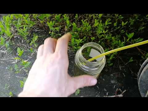 Видео: Пассат б3. Самый простой способ прокачать тормоза