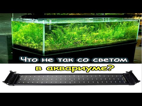 Видео: На это мало кто обращает внимание. Одна из причин возникновения водорослей.