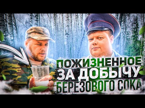 Видео: ПОЖИЗНЕННОЕ ЗА ДОБЫЧУ БЕРЕЗОВОГО СОКА
