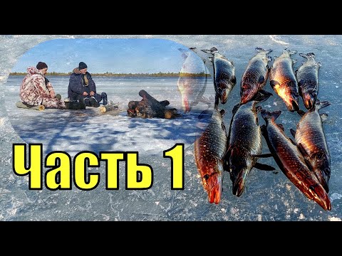 Видео: Чёрные щуки ХМАО-Югры, последний лёд , 1 часть