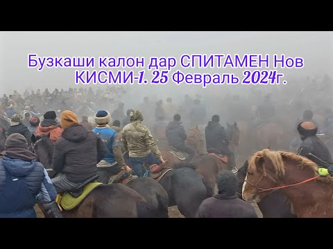 Видео: Бузкаши Улок Дар Спитамен Нов 🇭🇺Таджикистан Ба Пеш