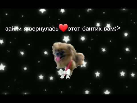 Видео: я буду снимать про моих питомцев❤лю вас)