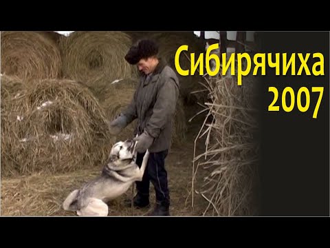 Видео: Крестьянский быт/Русская печь. Алтай. Сибирячиха. Русские традиции. Peasant life of Siberia 2007