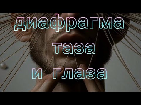 Видео: диафрагма глаза и таза, экспериментируем с неочевидными связями.