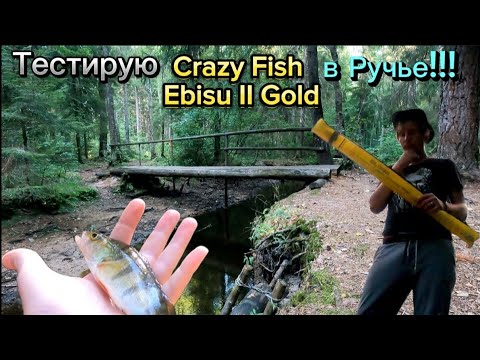 Видео: Тестирую Crazy Fish Ebisu II Gold в Ручье!!!