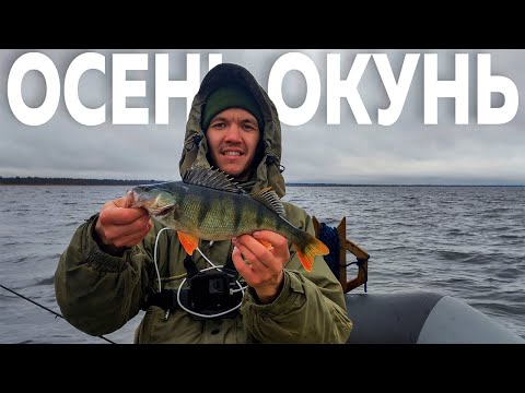 Видео: Осенью за окунем. Рыбалка на Ладоге. Ловля окуня на джиг