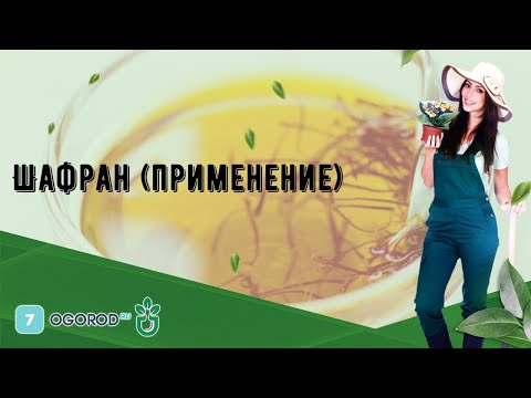 Видео: Шафран (применение)