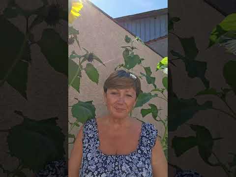 Видео: Почему не живем, а выживаем?