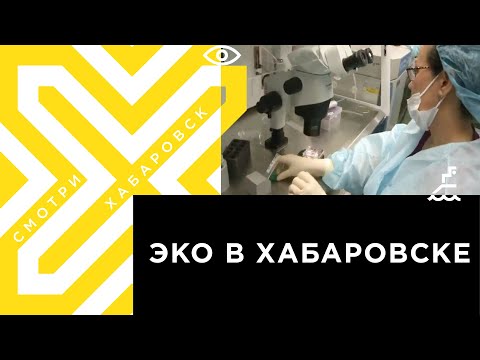 Видео: Перинатальный центр Хабаровска показал процедуру ЭКО в лабораторных условиях