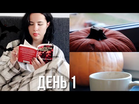 Видео: ЖУТКИЙ КНИЖНЫЙ МАРАФОН на новую камеру | день 1