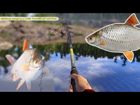 Видео: БЕШЕНАЯ РАЗДАЧА И КЛЕВ ТРОФЕЙНОЙ ПЛОТВЫ! СТОЛЬКО С ПЛОТВЫ Я ЕЩЕ НЕ ЗАРАБАТЫВАЛ!