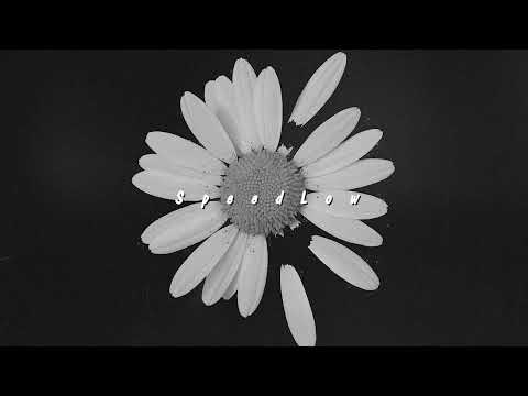 Видео: HammAli & Navai, Loc-Dog - Лепесток (Slowed)