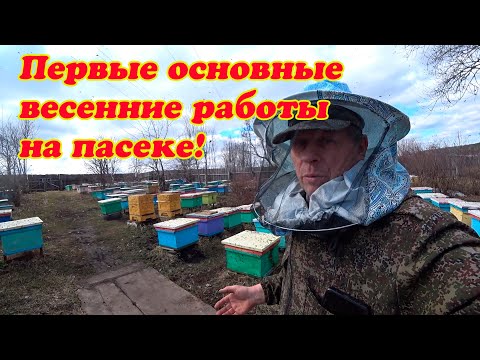 Видео: СДЕЛАЙ ЭТИ ОСНОВНЫЕ ВЕСЕННИЕ РАБОТЫ НА ПАСЕКЕ.