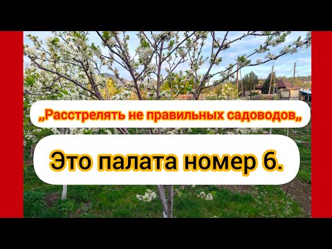 Видео: ,, Расстрелять неправильных садоводов,, По Железову.