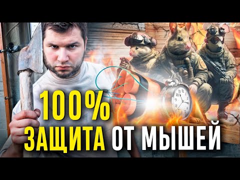 Видео: КАК ЗАЩИТИТЬ ДОМ ОТ МЫШЕЙ? Проверенный способ защиты, мыши не смогут попасть в дом, если сделать так
