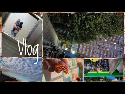 Видео: 25 октября 2025 г.