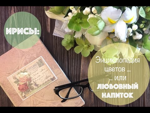 Видео: ИРИСЫ: Энциклопедия цветов🌺 ... или ЛЮБОВНЫЙ НАПИТОК 😍💑