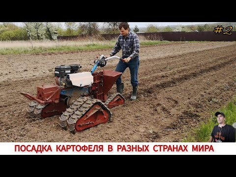 Видео: ПОСАДКА КАРТОФЕЛЯ МОТОБЛОКОМ В РАЗНЫХ СТРАНАХ МИРА / PLANTING POTATOES IN DIFFERENT COUNTRIES ,WORLD