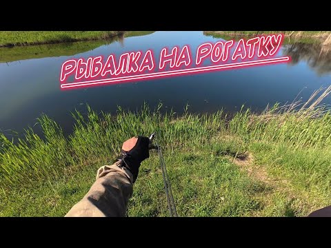Видео: Рыбалка на Рогатку - Slingshot Fishing #охотасрогаткой #2025 #top #headshot #змееголов #fishing #1m