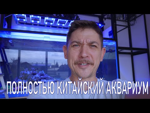 Видео: Морской аквариум 2500л с бюджетным китайским оборудованием