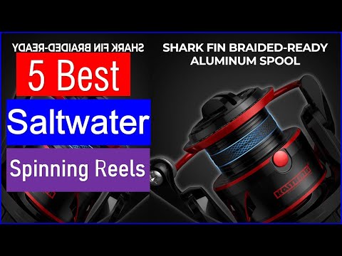 Видео: 5 лучших катушек для морской рыбалки в 2025 году | Лучшие катушки для спиннинга — купить сейчас