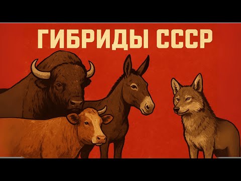 Видео: 7 ГИБРИДОВ Животные, которых СОЗДАЛ СССР