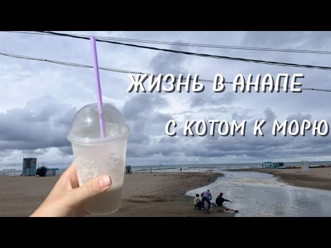 Видео: ЖИЗНЬ В АНАПЕ / ИЩУ РАБОТУ / С КОТОМ К МОРЮ #море #анапа #переезд #зимуюванапе#пмжнаюг