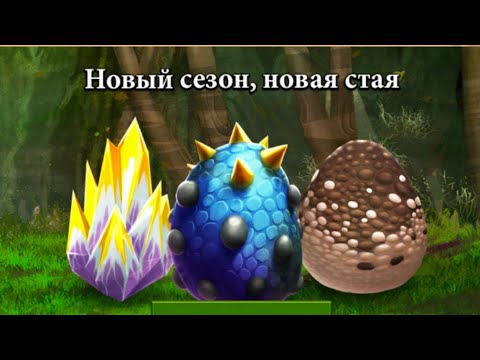Видео: Как приучить дрокона новоя стая