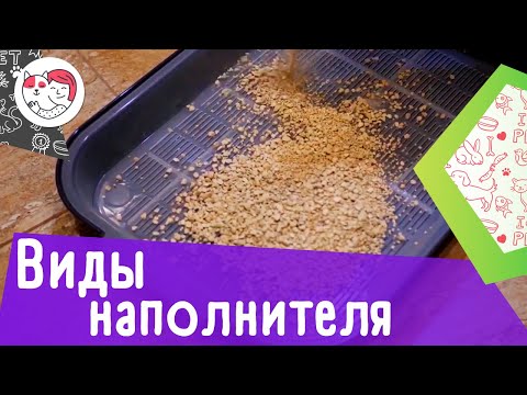 Видео: 3 вида наполнителя для кошачьего лотка