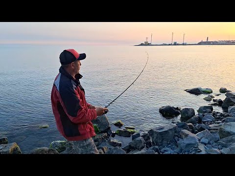 Видео: Анапа Большой Утриш | Море, Заповедник,  Рыбалка