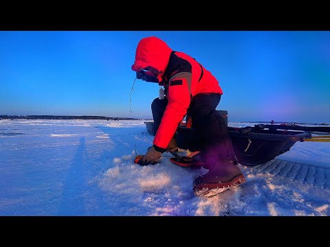 Видео: УШЁЛ от ТОЛПЫ и ПОПАЛ НА ХАПОК! ОПУСТИЛ ЭХОЛОТ, а ТАМ КУЧА РЫБЫ!! Зимняя рыбалка 2024-2025