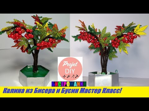 Видео: Калина из Бисера Мастер Класс!Дерево из бисера Мастер Класс/Kalina from beads!A tree of beads!