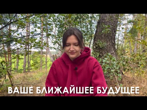 Видео: Ваше ближайшее будущее🕊️