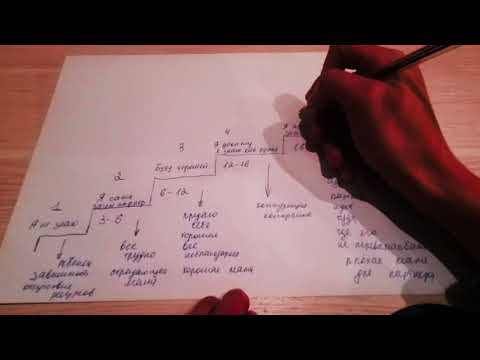 Видео: Причины откуда все проблемы в отношениях #расстановки 