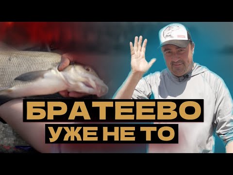 Видео: Рыбалка на фидер. Братеевский лещ уже не тот!