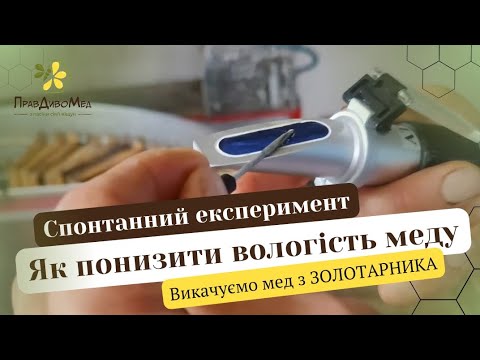 Видео: 1.10.2024р. Пізнє викачування ЗОЛОТАРНИКОВОГО меду | Чи є мінуси? | Легкий спосіб викачування меду