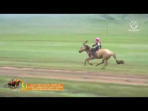 Видео: 2019 оны Сэлэнгэ аймгийн Баянгол сумын "Хүлэг" МСУХ-ны 20 жилийн ой 1-р хэсэг