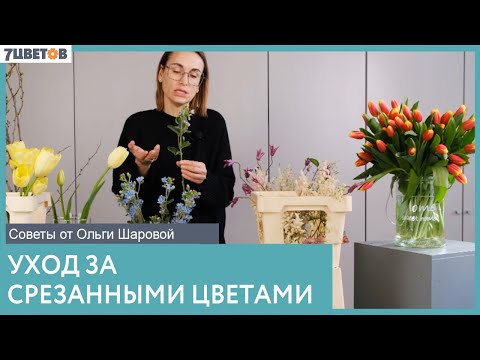 Видео: Уход за срезанными цветами | Советы от Ольги Шаровой