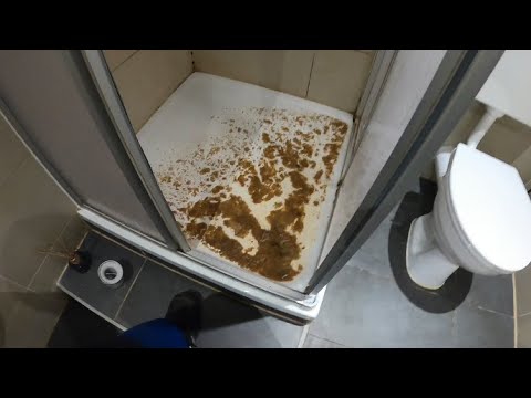 Видео: Kempinger 380.. Учимся удивительным вещам в тренажерном зале. Вот почему красота исходит изнутри?