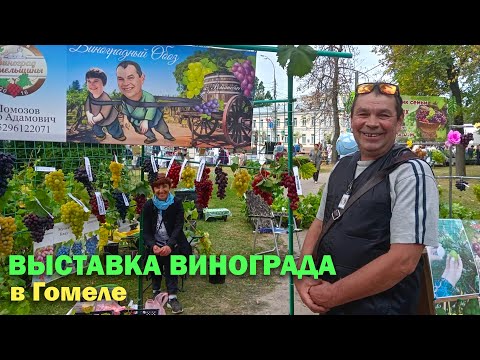 Видео: Выставка Винограда в Гомеле 2025