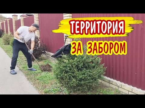 Видео: Опять наводим красоту за забором! Главное, чтобы не выкопали!