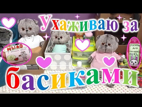 Видео: Как правильно ухаживать за басиками.