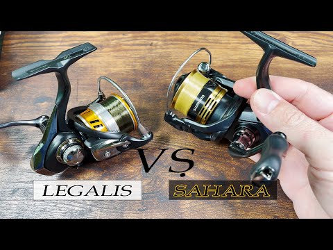 Видео: Обзор SHIMANO Sahara 22. Наконец-то соревнования Legalis LT!