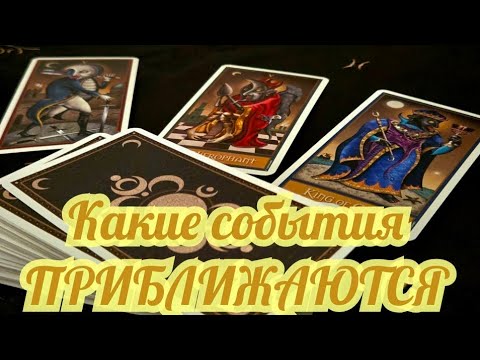 Видео: 💃ЧТО ПРИБЛИЖАЕТСЯ ,КАКИЕ СОБЫТИЯ #ТАРО #ТРЕНДЫ 