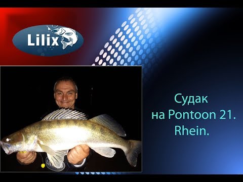 Видео: Судак на PONTOON 21. Rhein