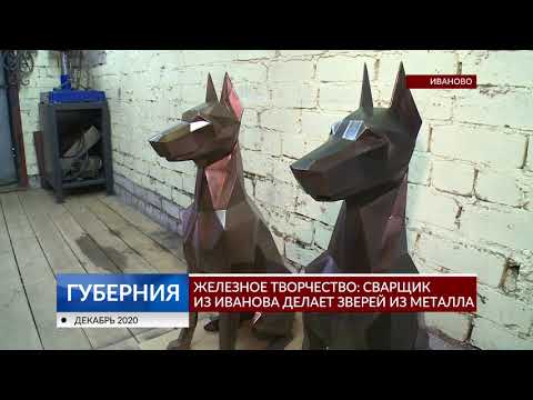 Видео: Железное творчество: сварщик из Иванова делает зверей из металла